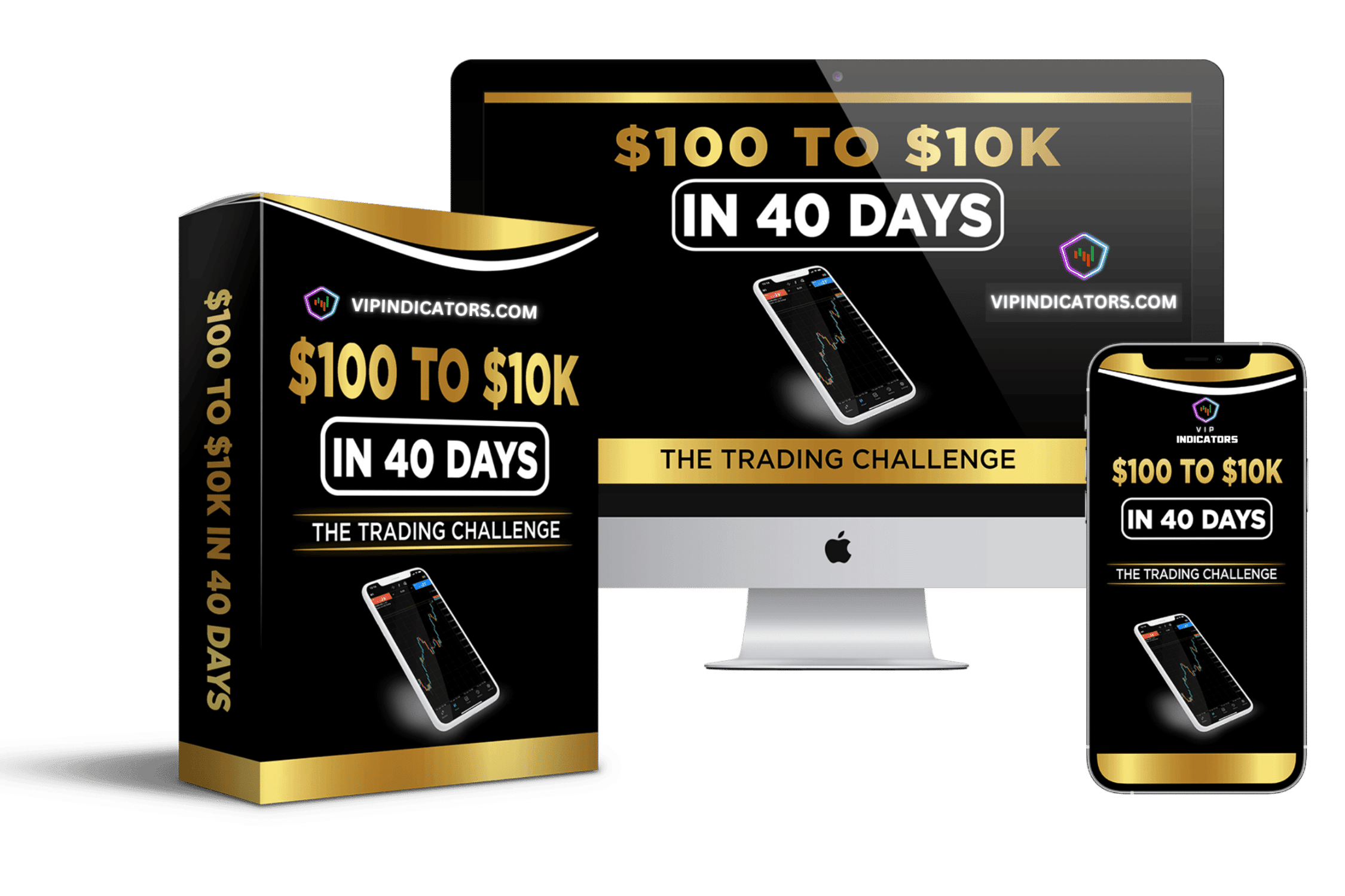 $100 to $10k challenge vip indicators
